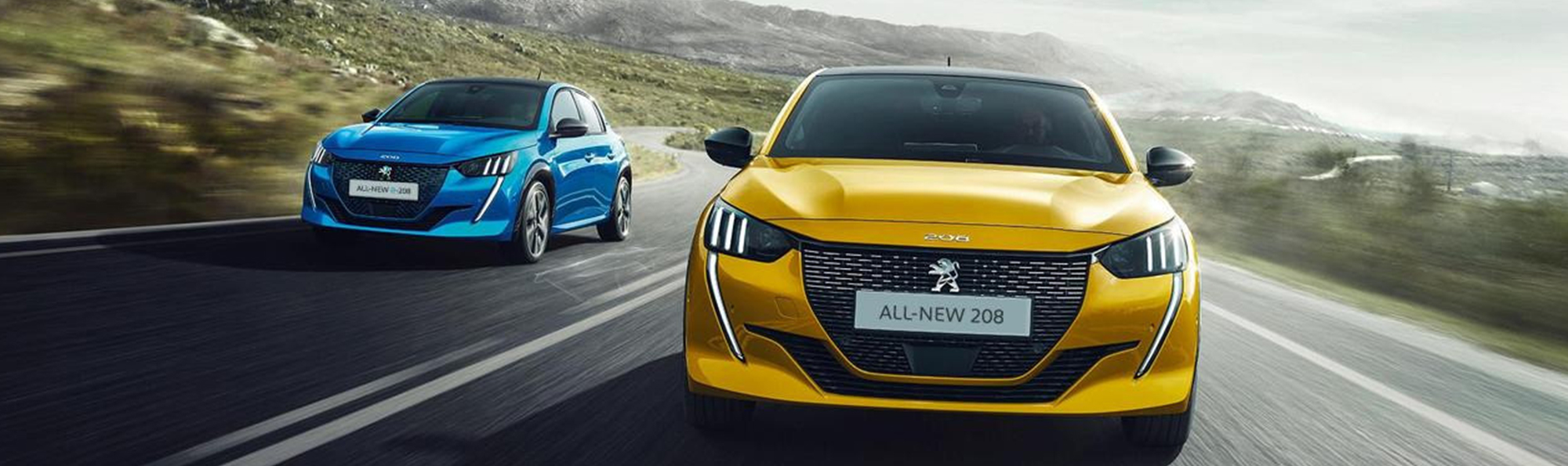 peugeot e-208 Banner